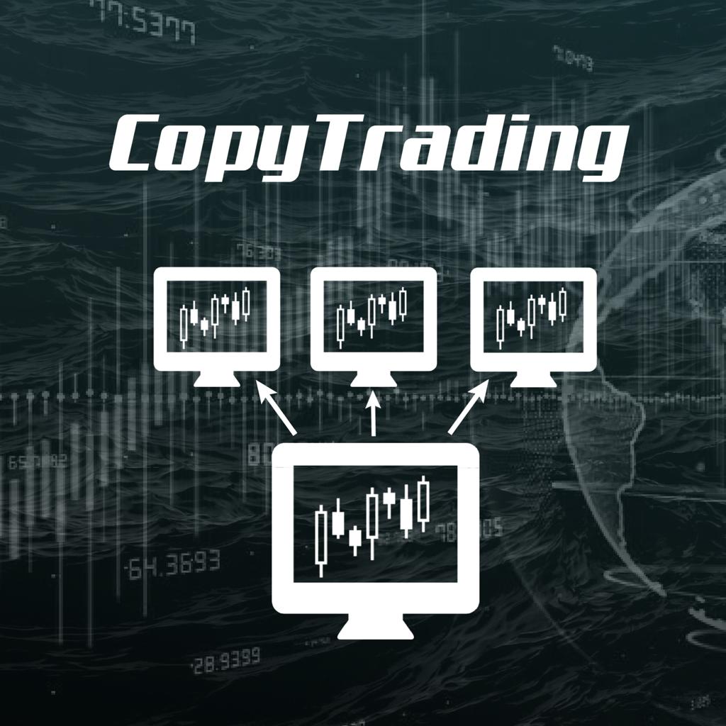 Acceso al sistema de CopyTrading